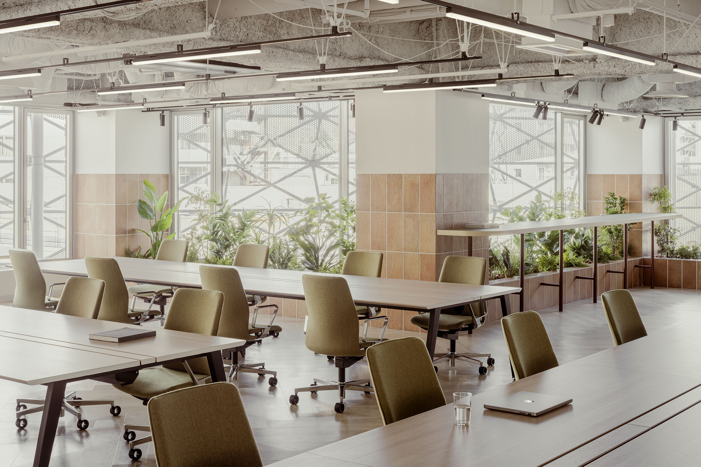 自然光と緑が美しい執務エリア