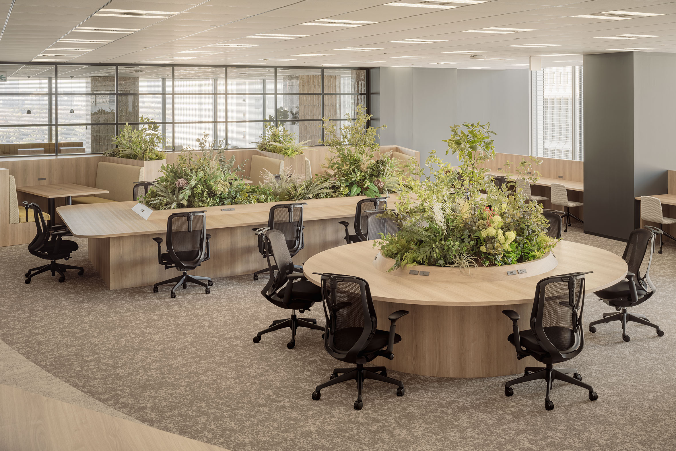 コミュニケーションエリア