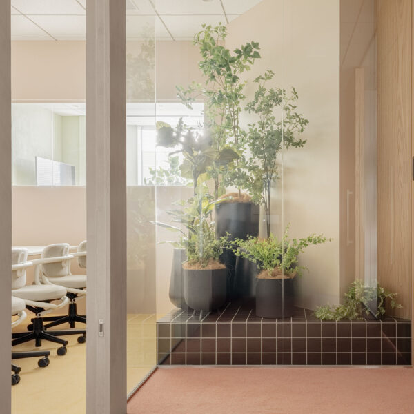 エントランスから見える植栽