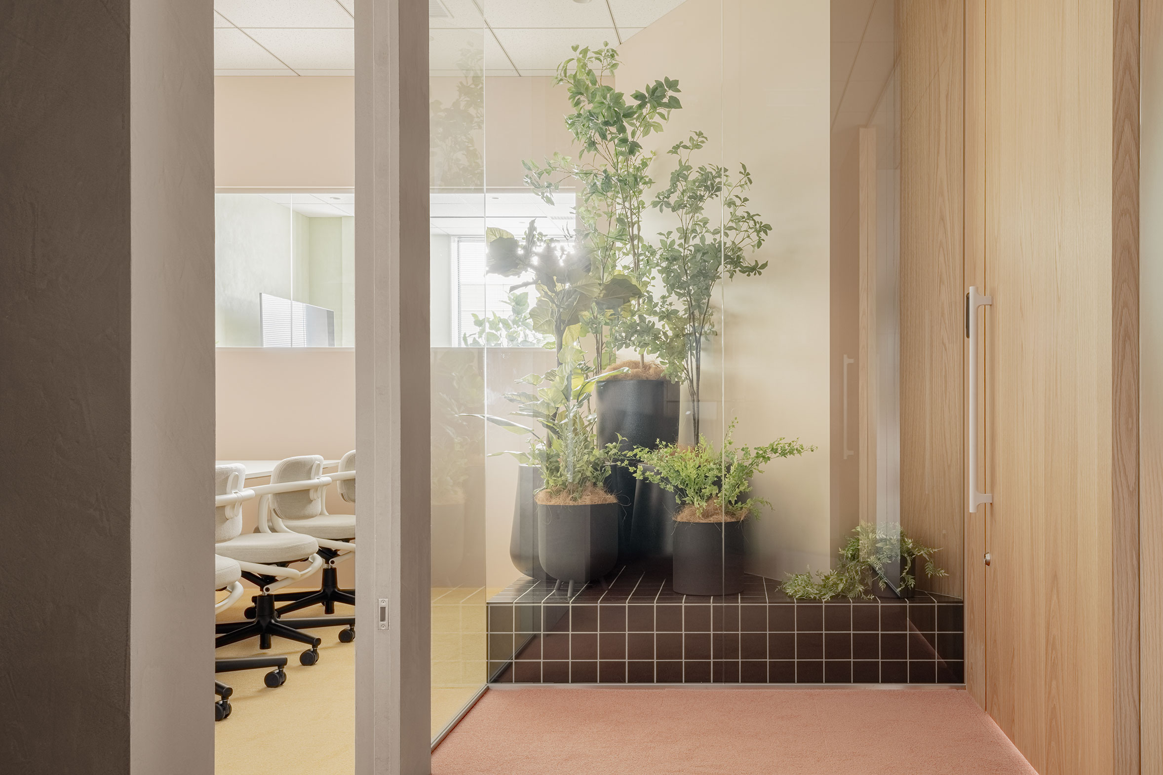 エントランスから見える植栽