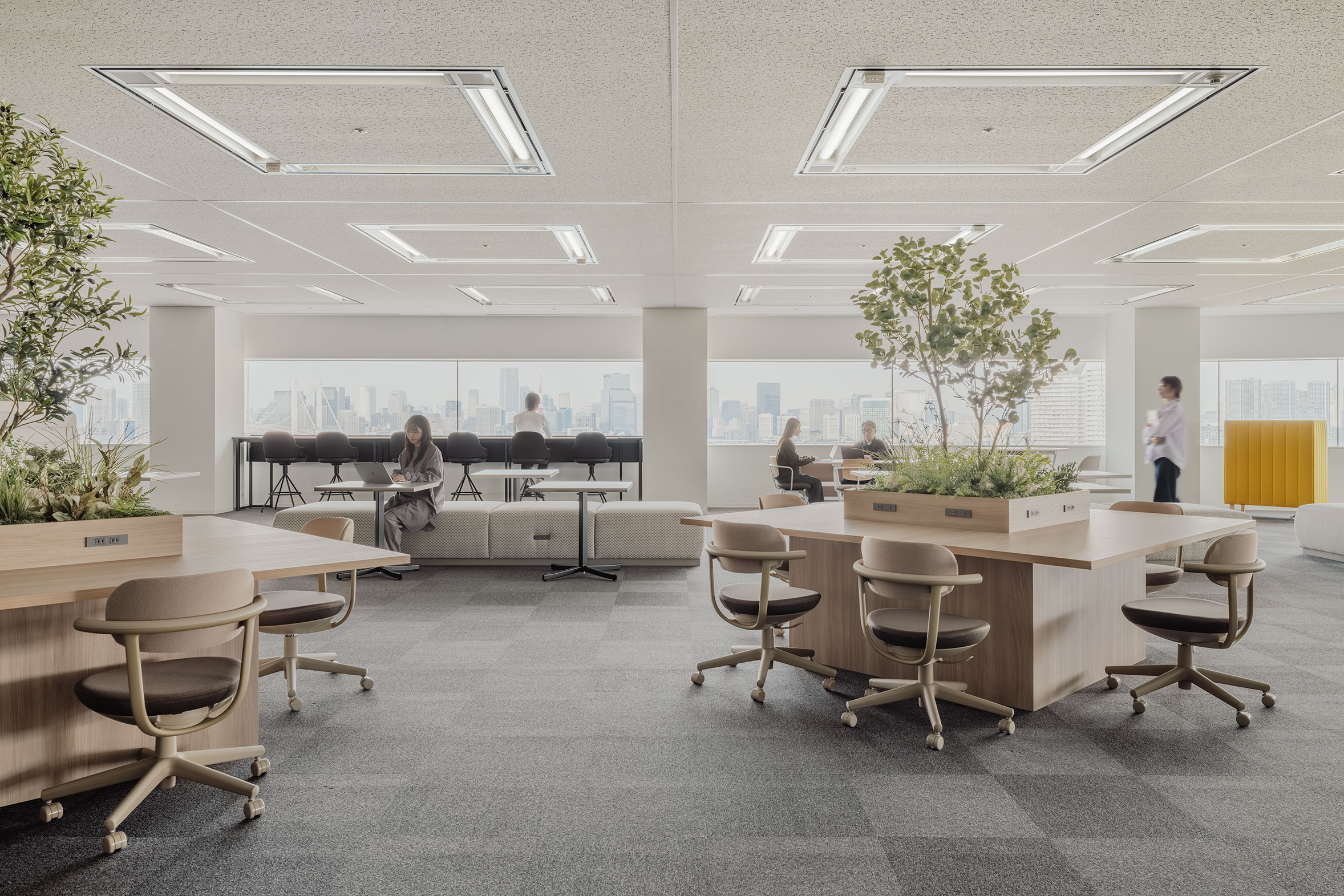 ソシオフューチャー