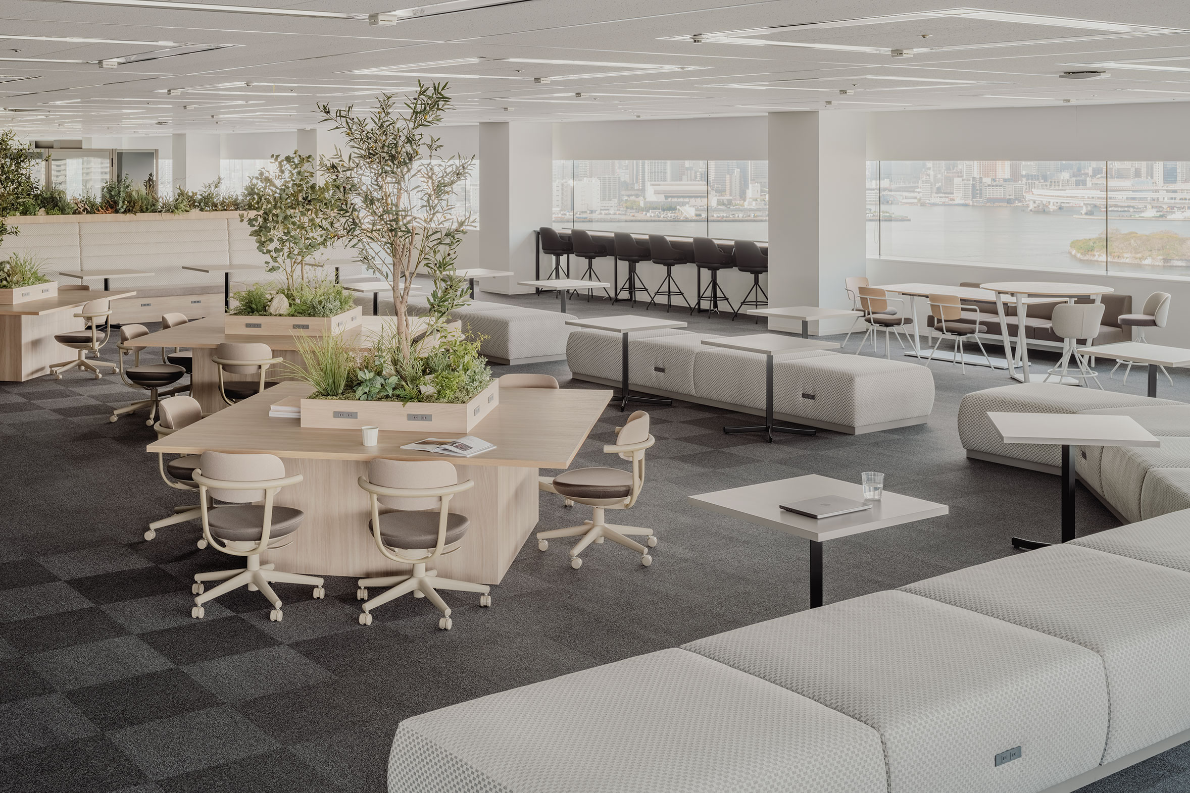 ソシオフューチャー