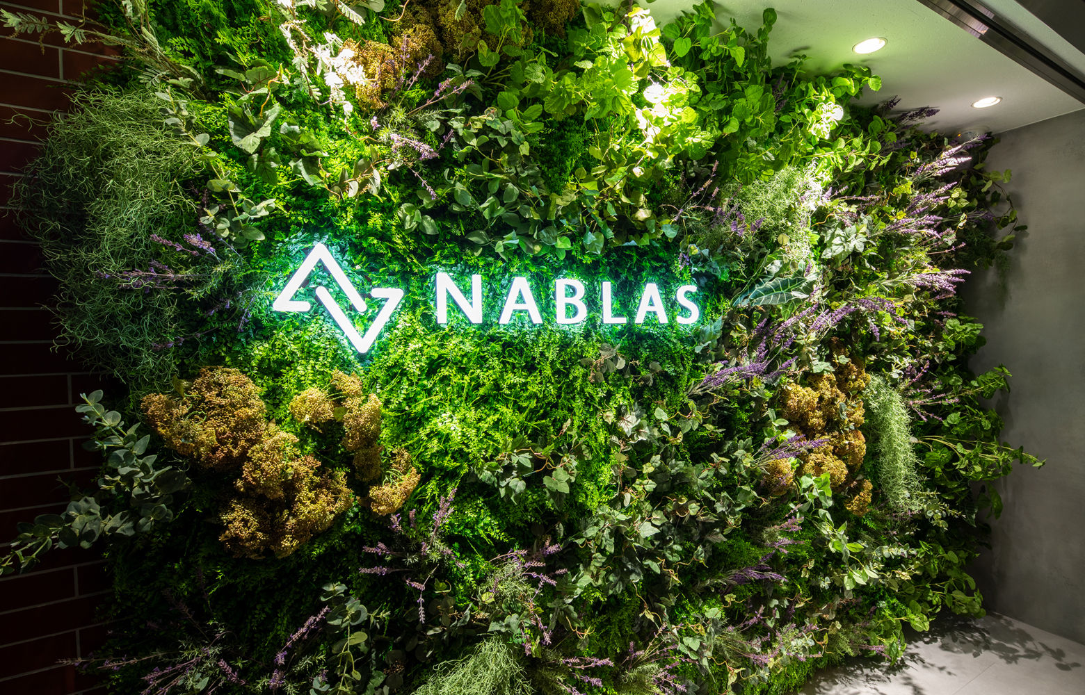 NABLAS株式会社 Entrance デザイン・レイアウト事例